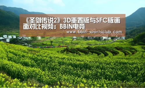 BBIN体育