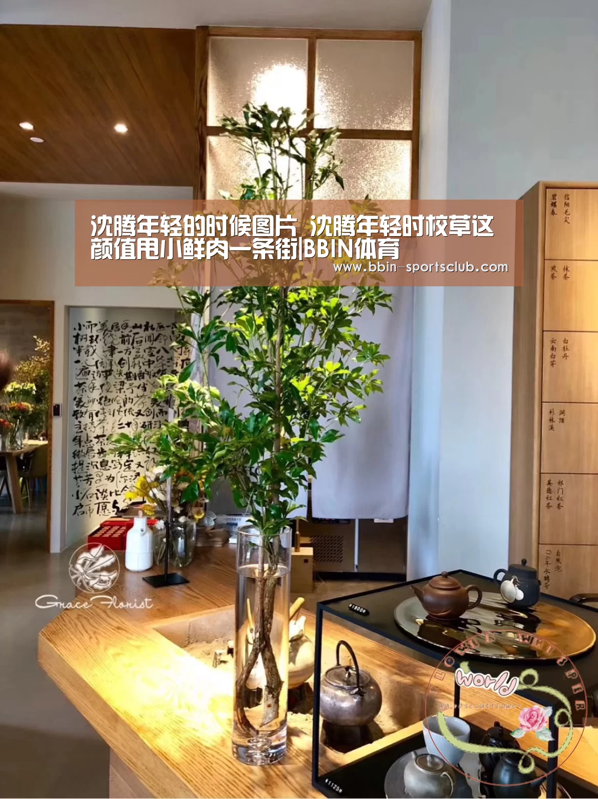 BBIN篮球