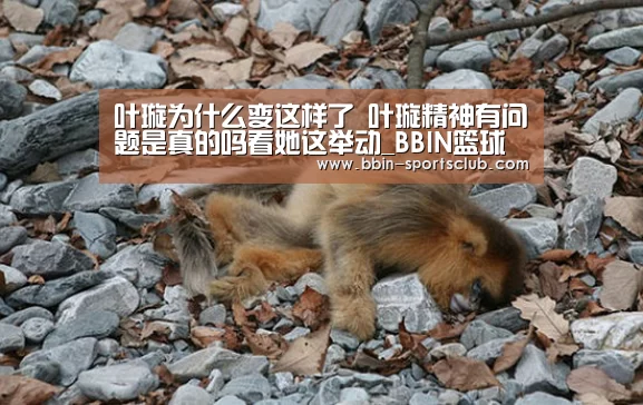 叶璇为什么变这样了 叶璇精神有问题是真的吗看她这举动_BBIN篮球(图3) BBIN电竞