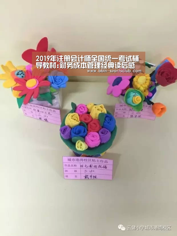 2019年注册会计师全国统一考试辅导教材:财务成本管理经典读后感有:BBIN电竞(图1) BBIN篮球
